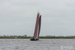 DFBP-2017-Aldega-026