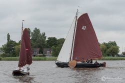 DFBP-2017-Aldega-033