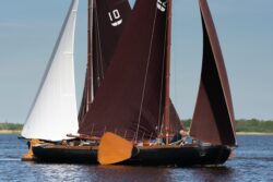 DSC1050-@-1