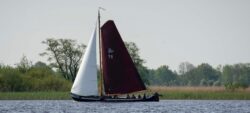 DSC1113-@-1