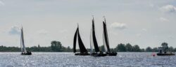 DSC1182-@-1