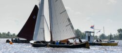 DSC1195-@-1
