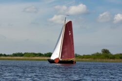 DSC1234-@-1