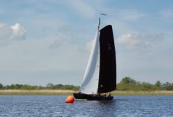 DSC1239-@-1