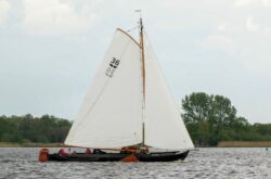 DSC1443-@-1