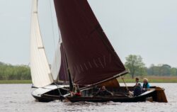 DSC1513-@-1
