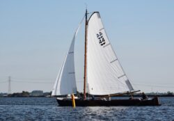 DSC5329