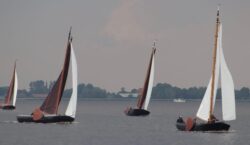 IMG-20240526-WA0034-kopie