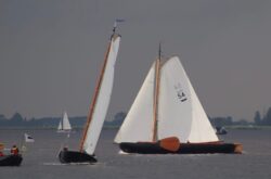 IMG-20240526-WA0035-kopie