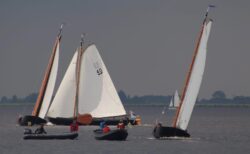 IMG-20240526-WA0036-kopie