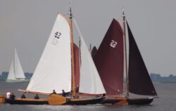IMG-20240526-WA0039