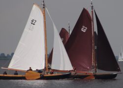 IMG-20240526-WA0040