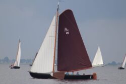 IMG-20240526-WA0050