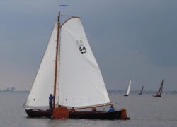 IMG-20240526-WA0051